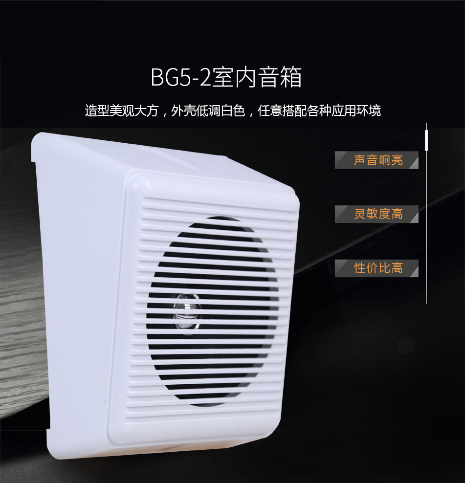 海灣BG5-2室內音箱特色